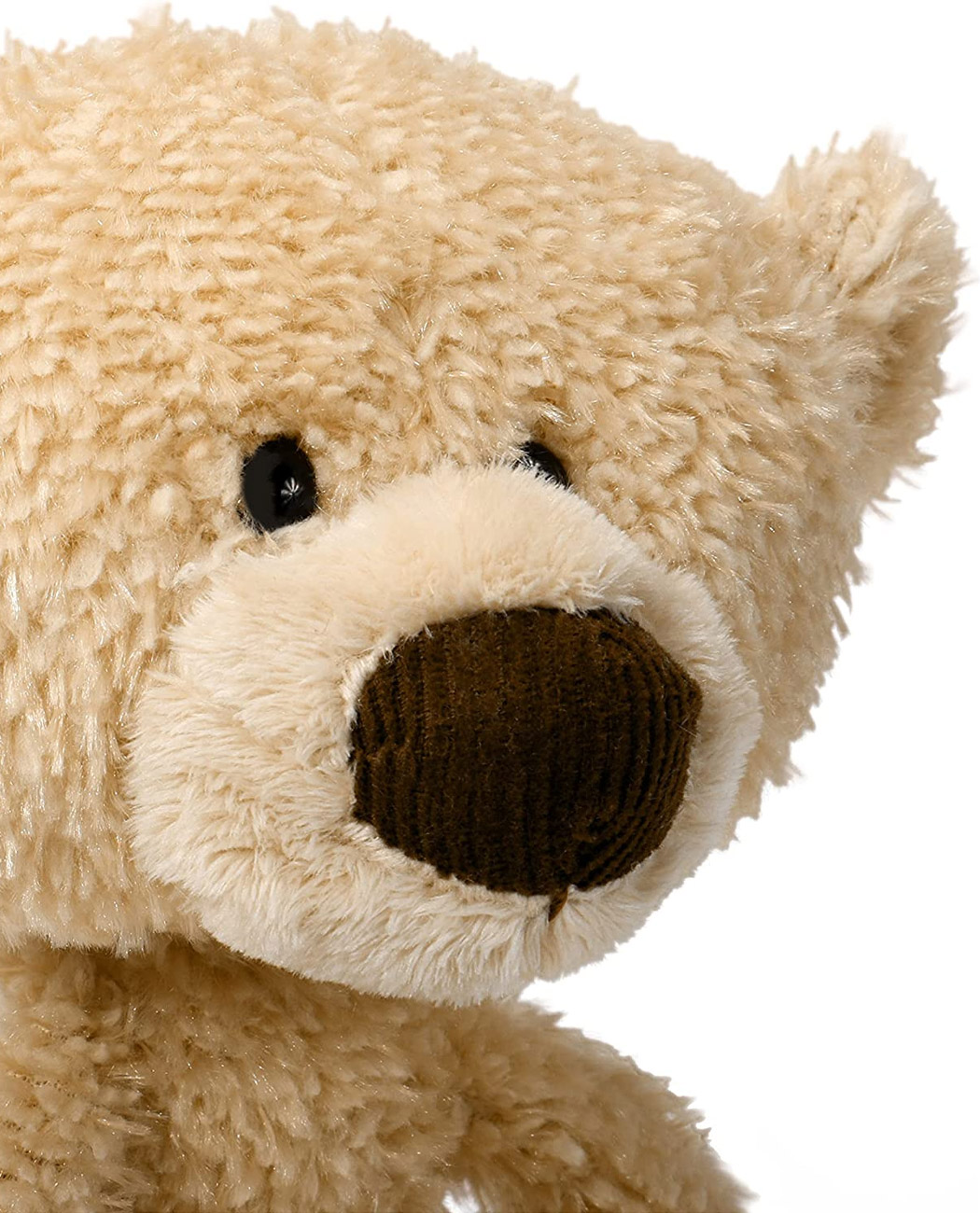 Classic-Teddy-Bear_detail1
